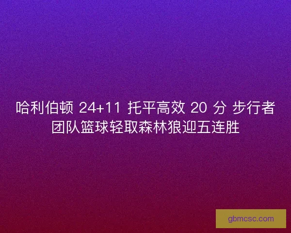 哈利伯顿 24+11 托平高效 20 分 步行者团队篮球轻取森林狼迎五连胜